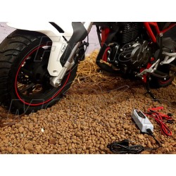 PROSTOWNIK INTELIGENTNA ŁADOWARKA DO AKUMULATORÓW LITOWO-JONOWYCH LI-ION LIFEPO4 6V 12V