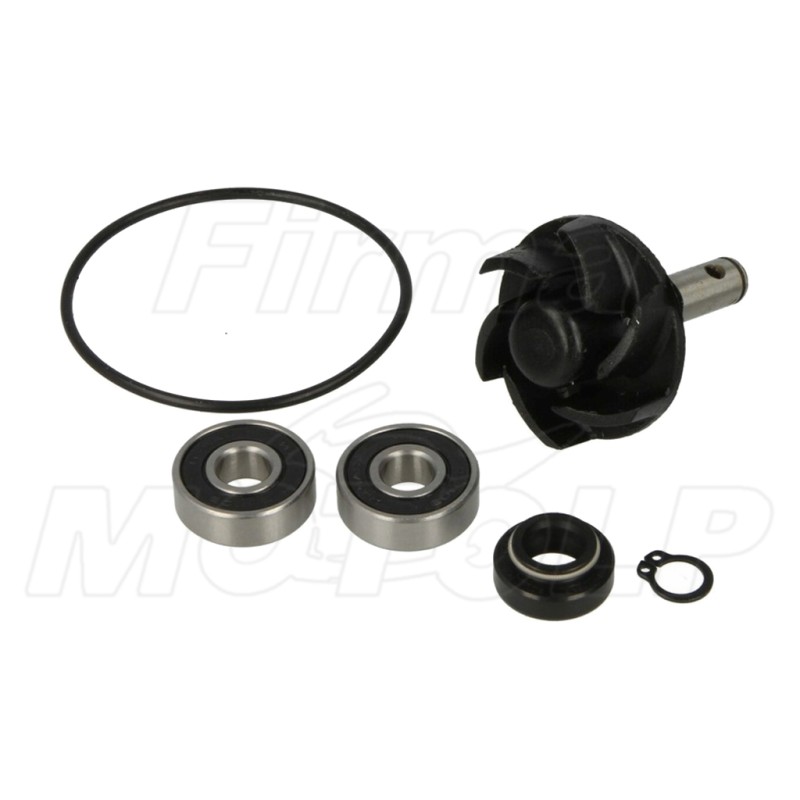 ZESTAW NAPRAWCZY POMPY WODY MALAGUTI F12 F12R F15 PHANTOM FIRE FOX LC 50