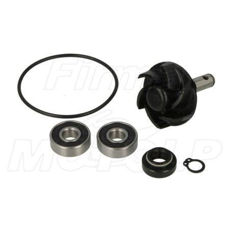 ZESTAW NAPRAWCZY POMPY WODY MALAGUTI F12 F12R F15 PHANTOM FIRE FOX LC 50