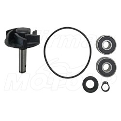 ZESTAW NAPRAWCZY POMPY WODY MALAGUTI F12 F12R F15 PHANTOM FIRE FOX LC 50