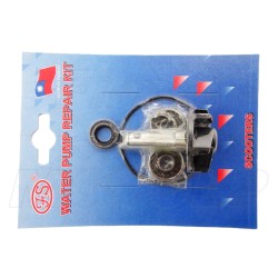 ZESTAW NAPRAWCZY POMPY WODY BETA ARK 50 LC 2T MINARELLI