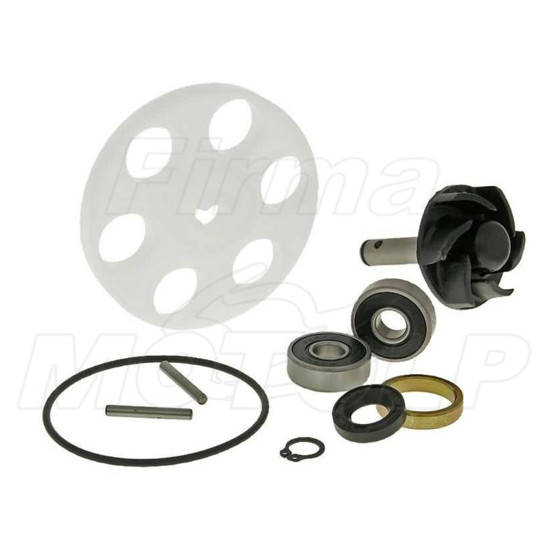 ZESTAW NAPRAWCZY POMPY WODY APRILIA AREA GULLIVER LC RALLY SONIC GP SR50