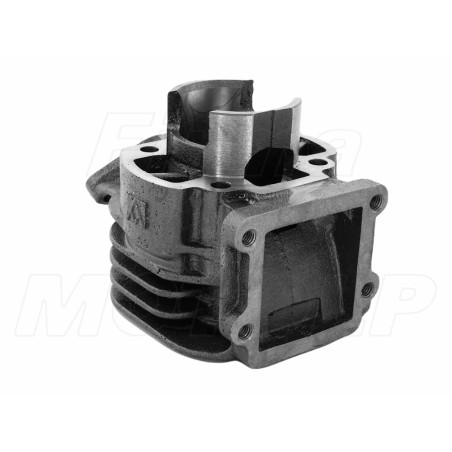 CYLINDER 49CCM MBK ACTIVE BOOSTER ROCKET YAMAHA BW`S SLIDER SPY CHAMP CT