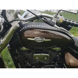 EMBLEMAT ZNACZEK ORNAMENT NA ZBIORNIK BAK SUZUKI INTRUDER M1800R C800 M800